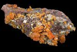 Orange Wulfenite Crystal Cluster - Rowley Mine, Arizona #118947-1